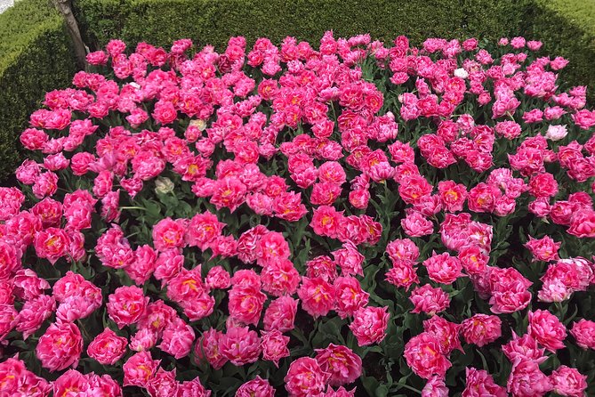 Private Tour to the Keukenhof and Tulip Fields - Should you book this private Keukenhof and tulip fields tour?