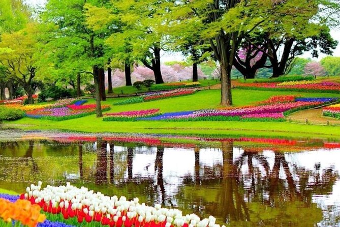 Private Tour to Tulips, Keukenhof, Windmills & Cheese Farm - Why this private tulip day trip works better than juggling tickets