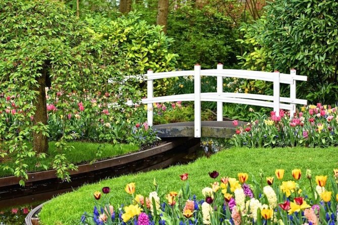Private Tour to Tulips, Keukenhof, Windmills & Cheese Farm - Zaanse Schans windmills: shoe demo and one included ticket