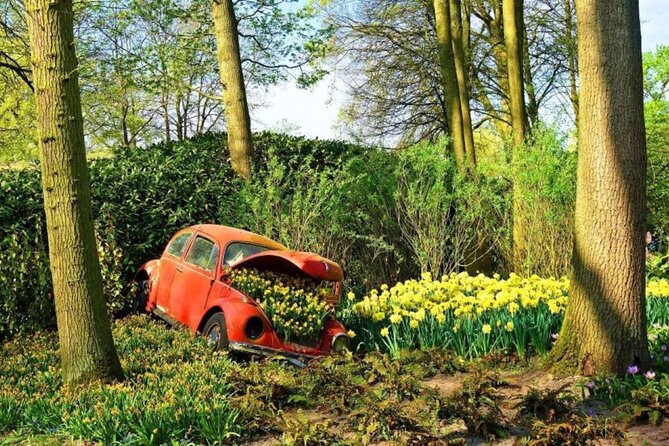 Private Tour to Tulips, Keukenhof, Windmills & Cheese Farm - Late April bloom, travel time, and practical tips