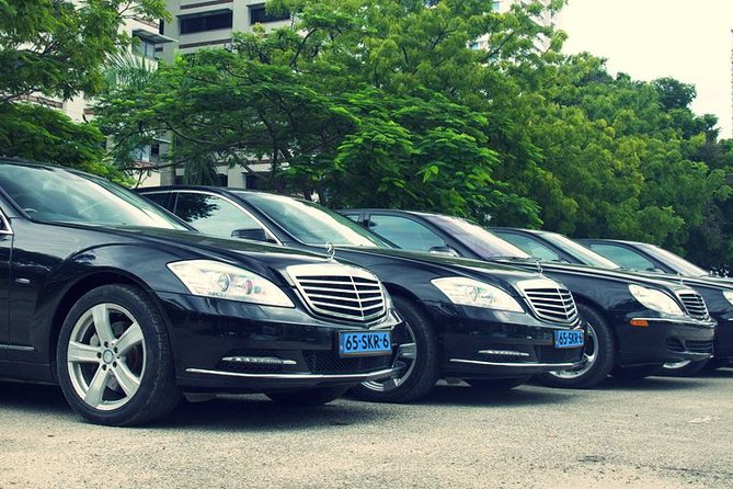 Private Transfer from Amsterdam Airport Schiphol to The Hague - Schiphol pickup: where you meet the driver (and why it matters)