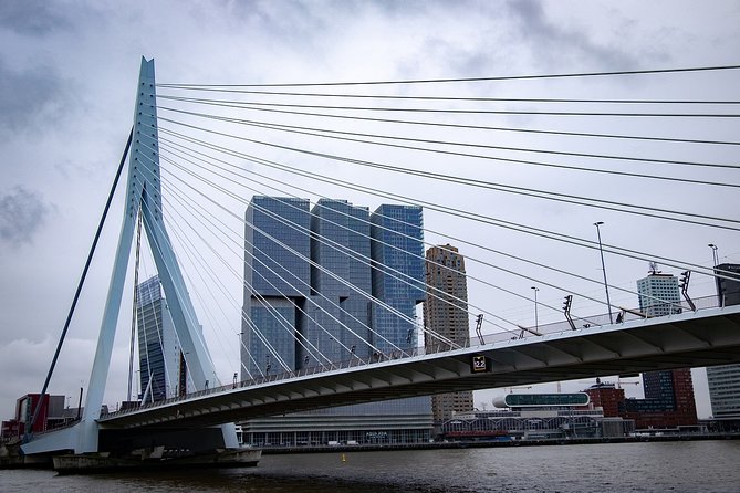 Private Transfer from Amsterdam city center to Rotterdam - Your Driver: On-Time, English Speaking, Luggage Help