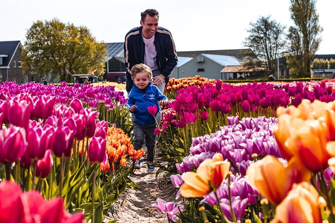Private Tulip Fields, Windmills and Cheese Tour from Amsterdam - Timing and pacing: a packed day, but not a sprint