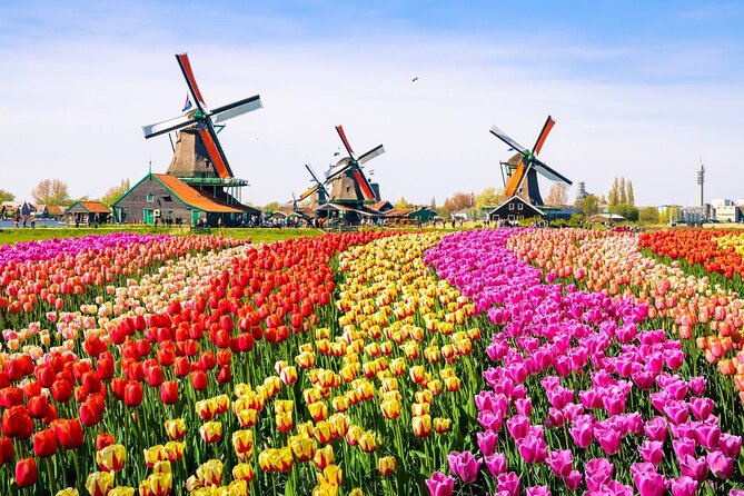Private Zaanse Schans & Volendam Tour: Windmills, Cheese & Clogs - Price and timing: what $341.53 per person buys you