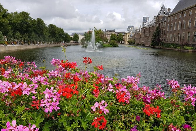 privatetour Delft, The Hague&Rotterdam Kinderdijk from Amsterdam - How the route from Amsterdam makes sense (and why it saves your energy)