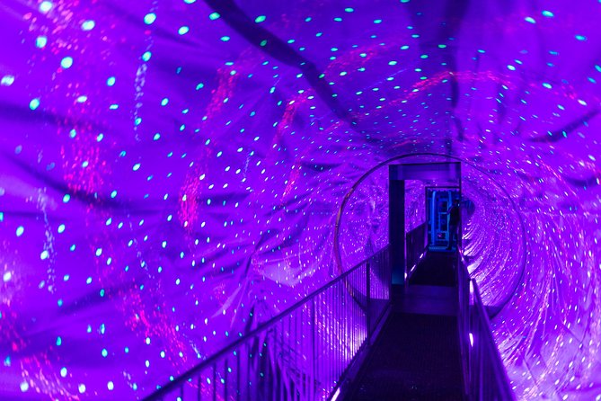 Ripley's Believe It or Not! Amsterdam Admission Ticket - Optical illusions, mind games, and the giant wooden clog
