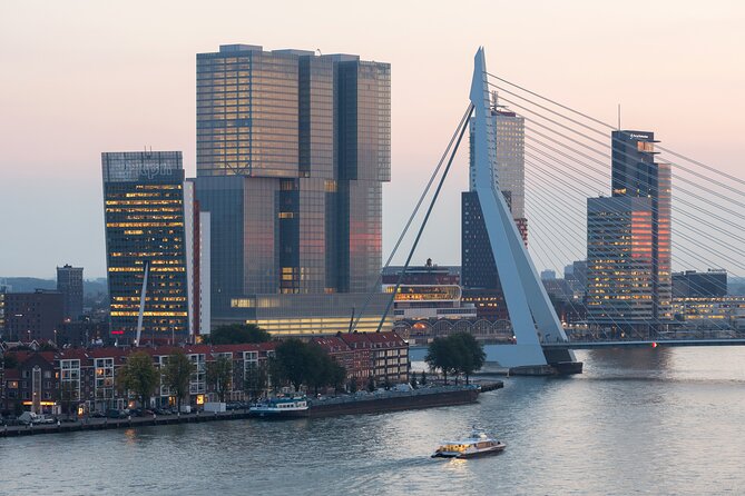 Rotterdam, Delft and The Hague Guided Tour from Amsterdam - Price and logistics: what you are paying for at $82.90