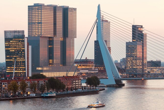 Rotterdam, Delft and The Hague Small Group Tour from Amsterdam - Who this tour is best for (and who may feel rushed)