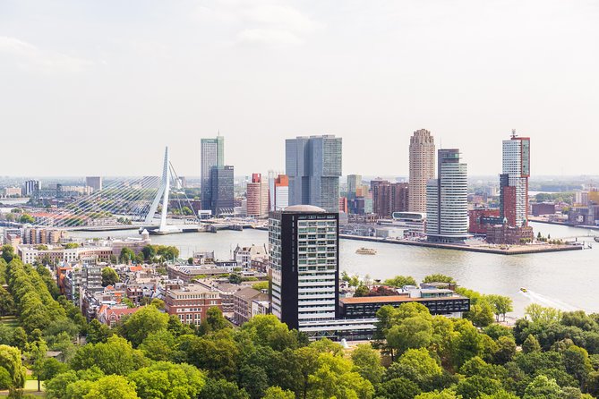 Rotterdam, Delft, the Hague, Madurodam from Amsterdam - Value and logistics, including the $90.57 price tag