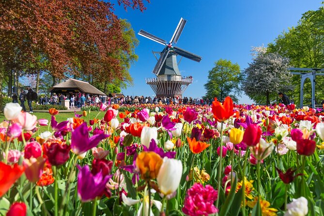 Skip-the-Line Keukenhof Gardens and Tulip Fields Tour from Amsterdam - Why Keukenhof Is a Short-Season Priority in 2026