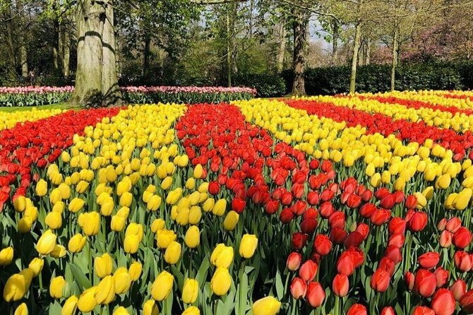Skip-the-Line Keukenhof Gardens and Tulip Fields Tour from Amsterdam - Pricing and Value: Is $639.96 Per Group Worth It?