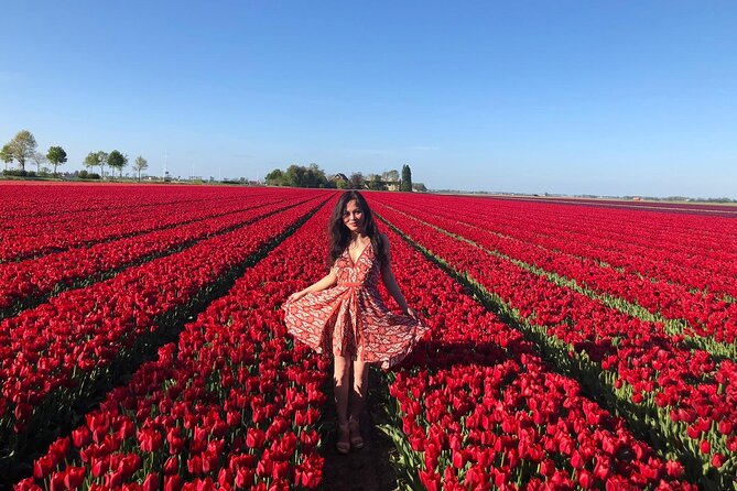 Small Group Keukenhof and Delft Guided Tour from Amsterdam - Key highlights to know before you go