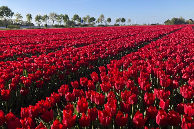 Small Group Keukenhof and Delft Guided Tour from Amsterdam - Delft in the afternoon: canals, churches, and a real Delftware lesson