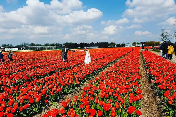 Small Group Keukenhof and Delft Guided Tour from Amsterdam - Pottery factory and Delft Blue shopping: how to make the most of free time