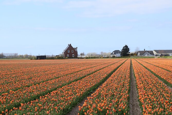 Small Group Keukenhof and Delft Guided Tour from Amsterdam - Small group size and the ride: comfortable, but not a private car