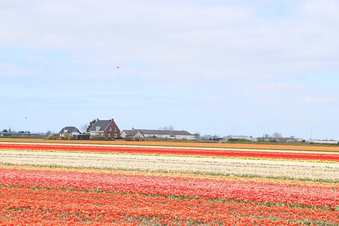 Small Group Keukenhof and Delft Guided Tour from Amsterdam - Price and value: is $191.88 worth it for a full day?