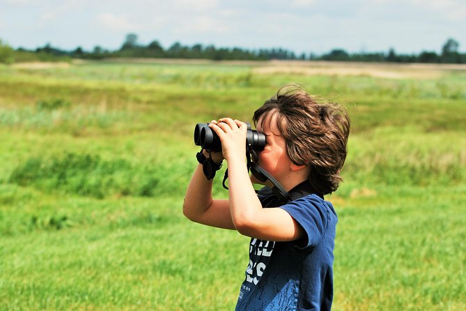 Small Group Tour to NP Hoge Veluwe (van Gogh) from Amsterdam - Transportation and timing: a smooth Amsterdam-to-park rhythm