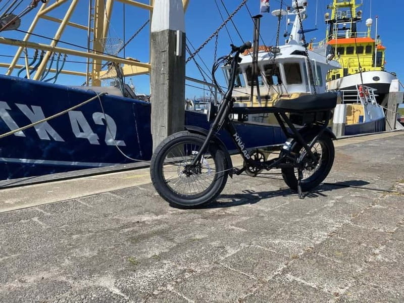 Texel: Electric Fatbike Rental with Map - Key Highlights You’ll Actually Care About