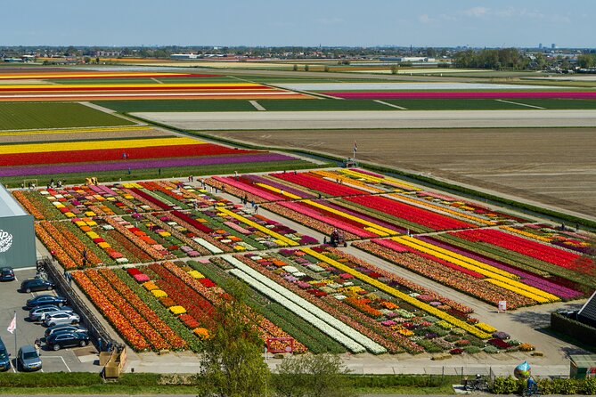 Tour to Giethoorn and Keukenhof Tulip Fields from Amsterdam - Tips for spring timing, comfortable footwear, and smarter photos
