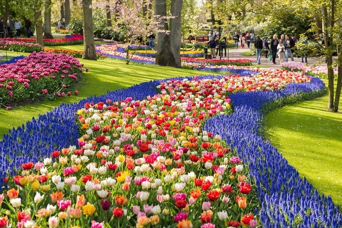 Tulip Experience and Keukenhof Flower Gardens Tour from Amsterdam - Price and What You Really Get for $382.91