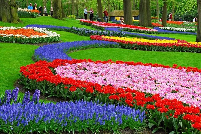 Tulip Experience and Keukenhof Flower Gardens Tour from Amsterdam - The Driver-Host Experience, From Guillermo to Oscar