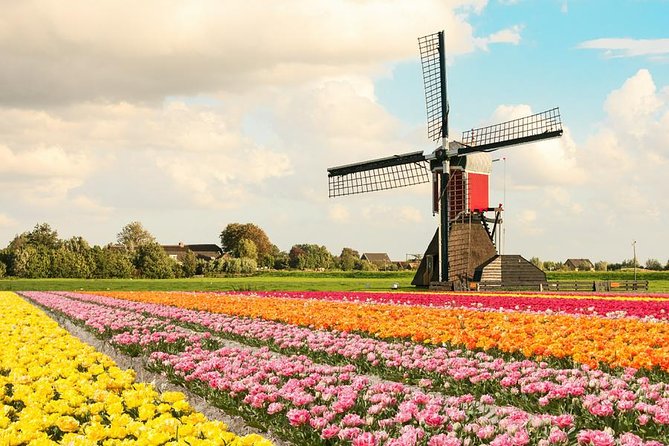 Tulip Experience and Keukenhof Flower Gardens Tour from Amsterdam - Tulip Experience Amsterdam, Museum Learning Plus a Million-Flower Show Garden