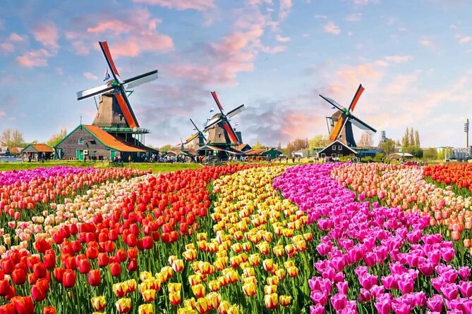 Tulip Paradise: Keukenhof Half-Day Private Tour - Door-to-door pickup and a drive full of Dutch stories