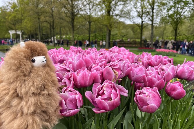 Tulip Paradise: Keukenhof Half-Day Private Tour - Practical tips for a smoother spring visit