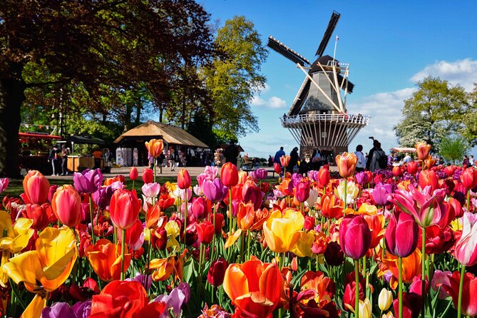 Tulip Paradise: Keukenhof Half-Day Private Tour - Photo stops in blooming fields and windmills