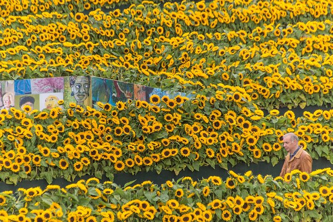 Van Gogh Museum Skip the Queue with Audio Guide - Sunflowers and the big masterpieces, what to prioritize first