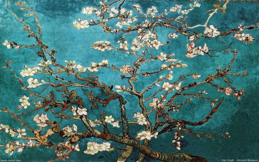 Van Gogh & Rijksmuseum Masterpieces Guided Tour 8 guests 5h - Van Gogh Museum tour: seeing the arc to his final work