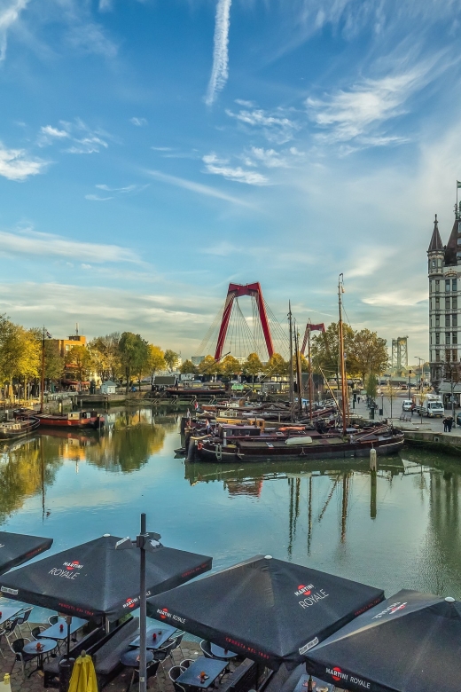 VIP Private Full Day Tour of the Netherlands - Should you book this VIP Private Full Day Tour of the Netherlands?