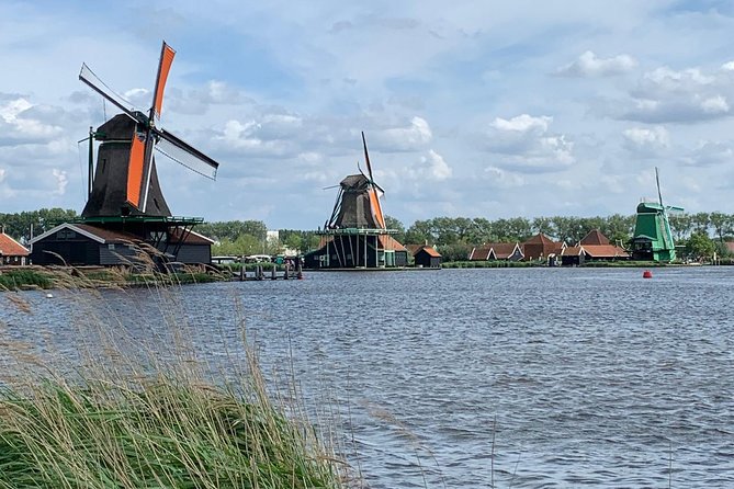Visit Amsterdam Countryside with windmills by bike - Wet Meadows Above The Water Table, Where Birds Do Their Thing