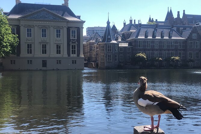 Visit the Girl with the Pearl Earring, The Hague & Delft City - Mauritshuis and Vermeer: seeing Girl with a Pearl Earring in context