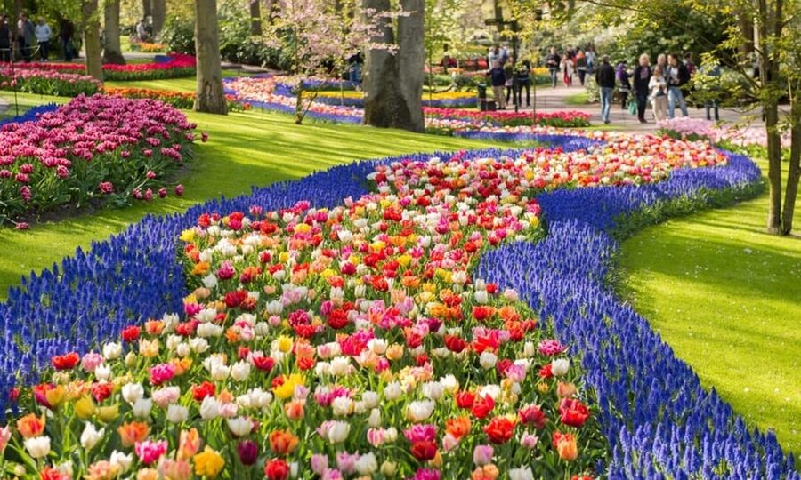 Warmond: Windmill Cruise and Keukenhof Entry Ticket - Why this Warmond cruise plus Keukenhof combo works in spring