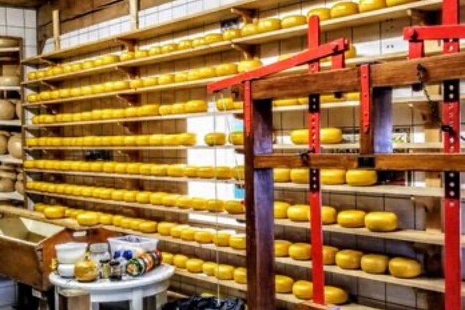 Windmills Country side tour Zaanse Schans-Cheesefactory-Volendam - Jacobs Hoeve Cheese Farm by Henri Willig: Tasting and How It Works