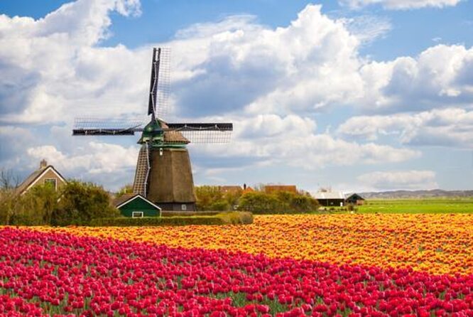 Windmills Zaanse Schans small group tour-region Amsterdam - Key highlights to expect on this Zaanse Schans tour